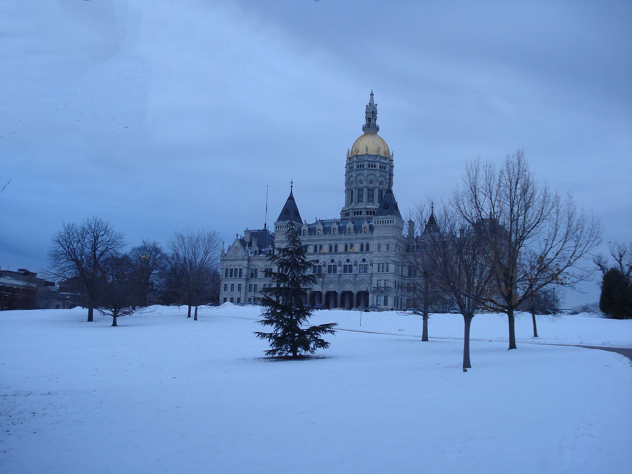 Hartfordas, Connecticut, Capitol, Bushnell Parkas, Orientyras, Centro, Žiema, Sniegas, Kraštovaizdis, Parkas