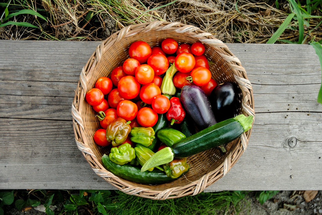 Derlius,  Pomidorų,  Moliūgų,  Natūralus,  Šviežias,  Organinė,  Daržovės,  Sveiki,  Vegetarų,  Žemdirbystė