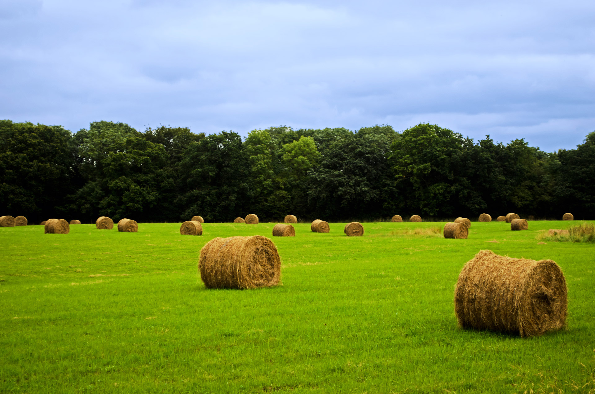 Žemės Ūkio,  Žemdirbystė,  Ruduo,  Fonas,  Ritinys,  Miežiai,  Kukurūzai,  Šalis,  Kaimas,  Pasėlių