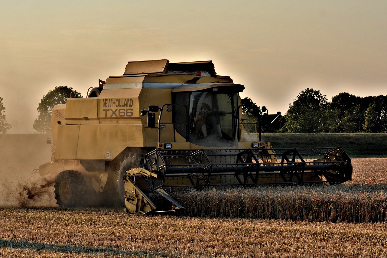 Kombainas,  Šiaudų Derlius,  New Holland Tx66,  Žemės Ūkio Mechanizmas,  Fokke Meyer,  Valcavimo Derliaus Nuėmimo Metu,  Pobūdį,  Galvijų Pašarų,  Derlius,  Darbo Užmokesčio Veiklos