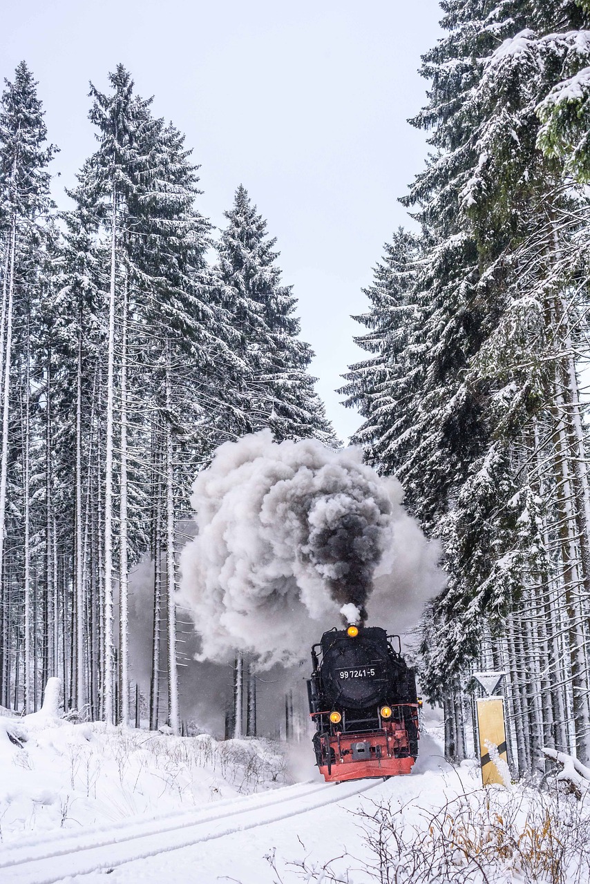 Harzer Schmalspuhrbahn, Žiemą, Pilnas Garas, Sniegas, Žiema, Šaltas, Mediena, Šaltis, Blizzard, Eglė