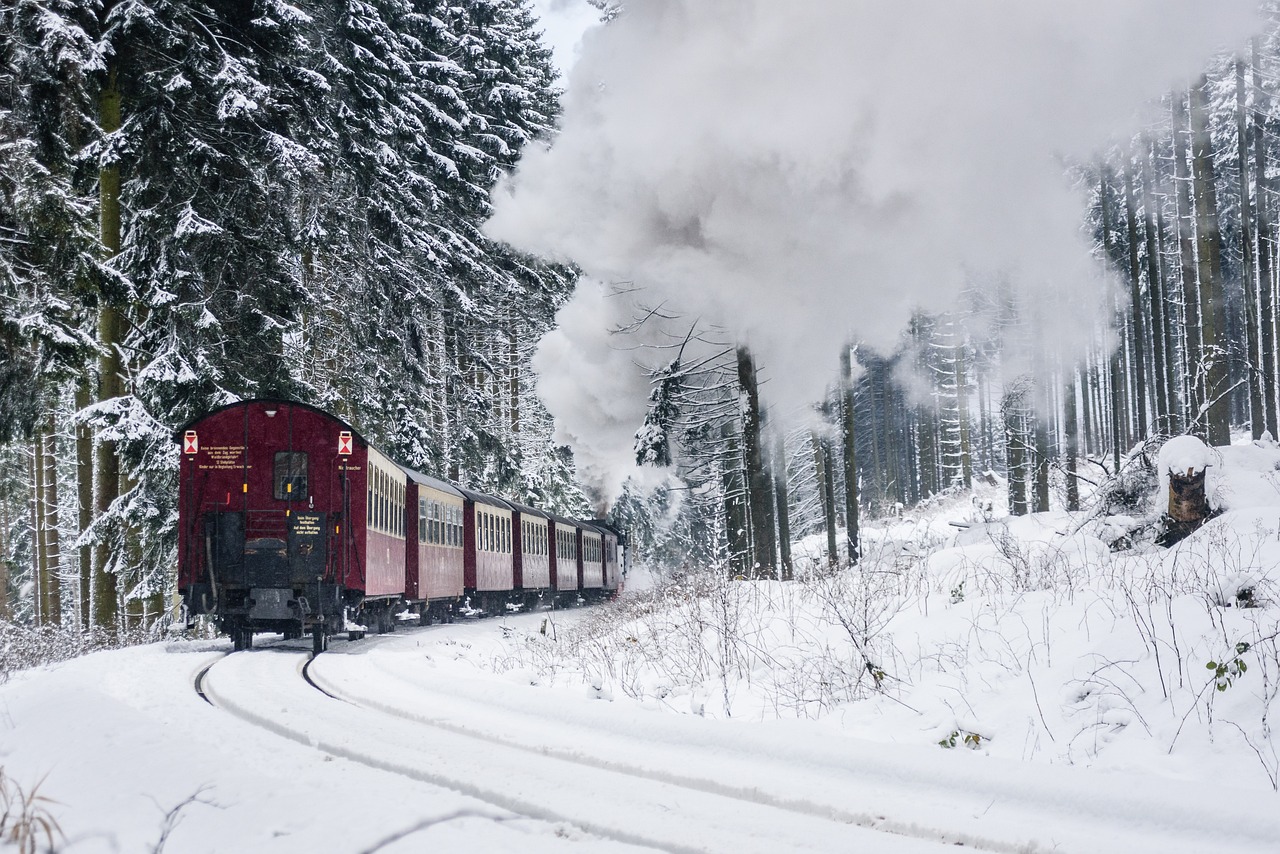 Harzer Schmalspuhrbahn, Žiemą, Pilnas Garas, Sniegas, Žiema, Šaltas, Sezonas, Sušaldyta, Nemokamos Nuotraukos,  Nemokama Licenzija