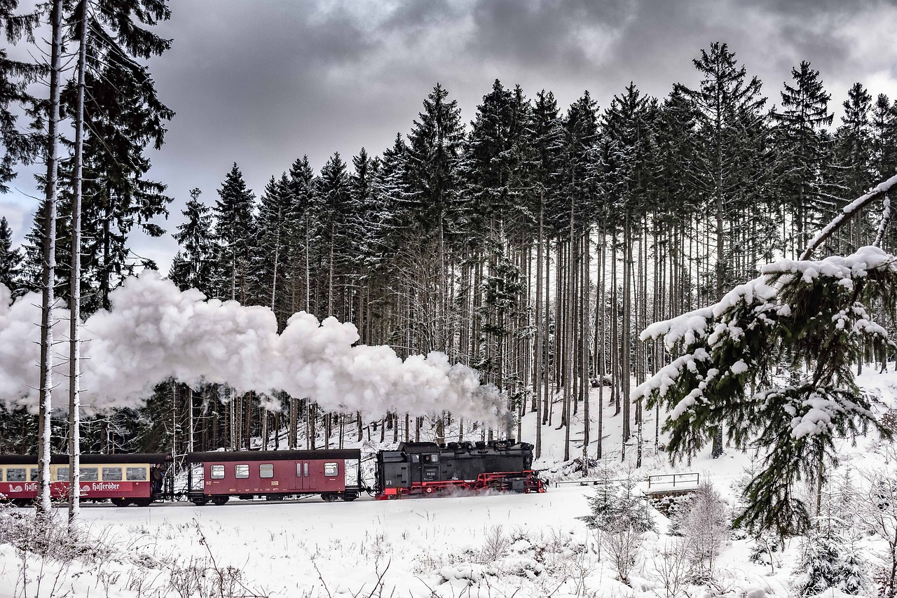 Harzer Schmalspuhrbahn, Žiemą, Pilnas Garas, Sniegas, Žiema, Medis, Mediena, Miškas, Nemokamos Nuotraukos,  Nemokama Licenzija