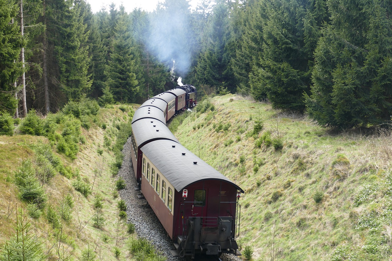 Harzquerbahn, Geležinkelis, Siauras Gabaritas, Miškas, Gamta, Turizmas, Lokomotyvas, Dūmai, Garai, Garo Lokomotyvas