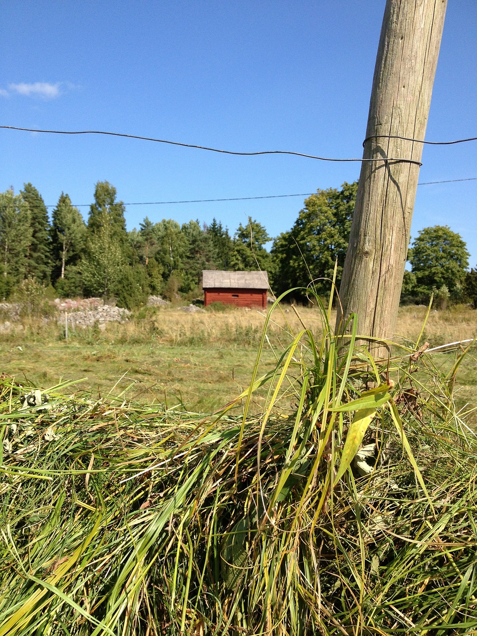 Hässjning, Skalbinių Džiovykla, Šienas, Žemdirbystė, Kultūra, Raudonas Kotedžas, Tvartas, Himmel, Žolė, Lova