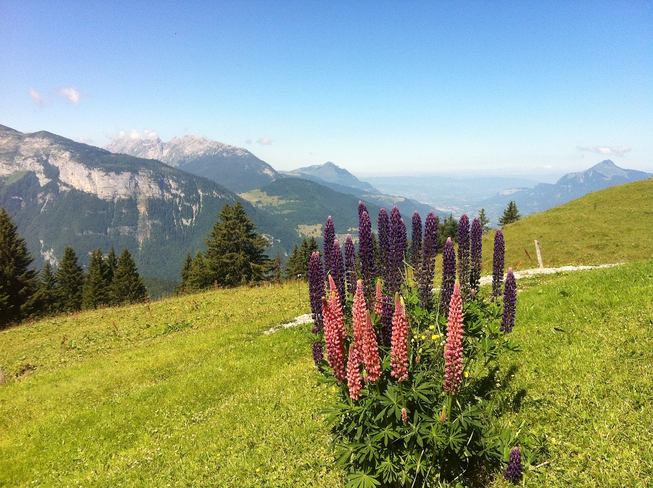Haute-Savoie, Alpės, Kalnas, Gėlės, Nemokamos Nuotraukos,  Nemokama Licenzija