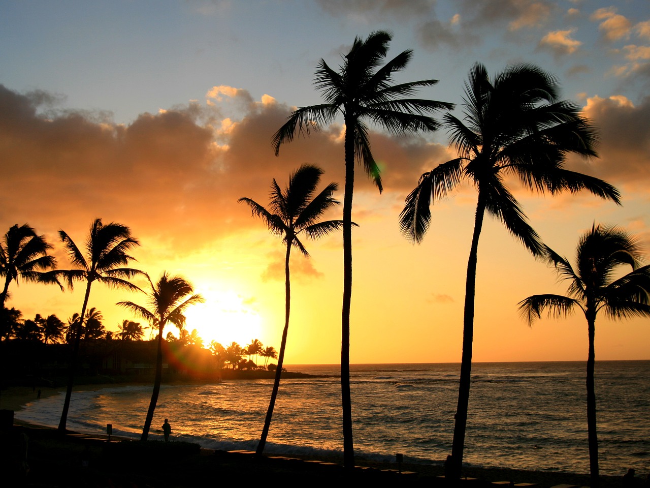 Hawaii, Atogrąžų, Palmė, Hawaii Beach, Nemokamos Nuotraukos,  Nemokama Licenzija