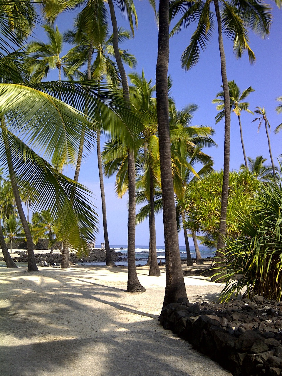 Hawaii, Prieglobsčio Miestas, Havajų Paplūdimys, Nemokamos Nuotraukos,  Nemokama Licenzija