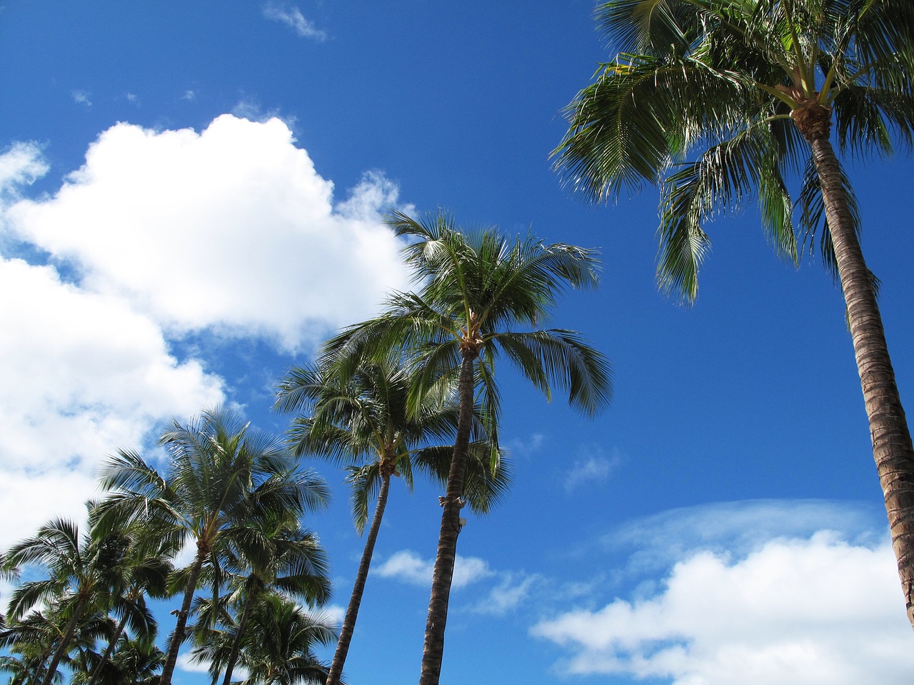 Hawaii, Delnus, Himmel, Delnas, Siluetas, Gamta, Nemokamos Nuotraukos,  Nemokama Licenzija