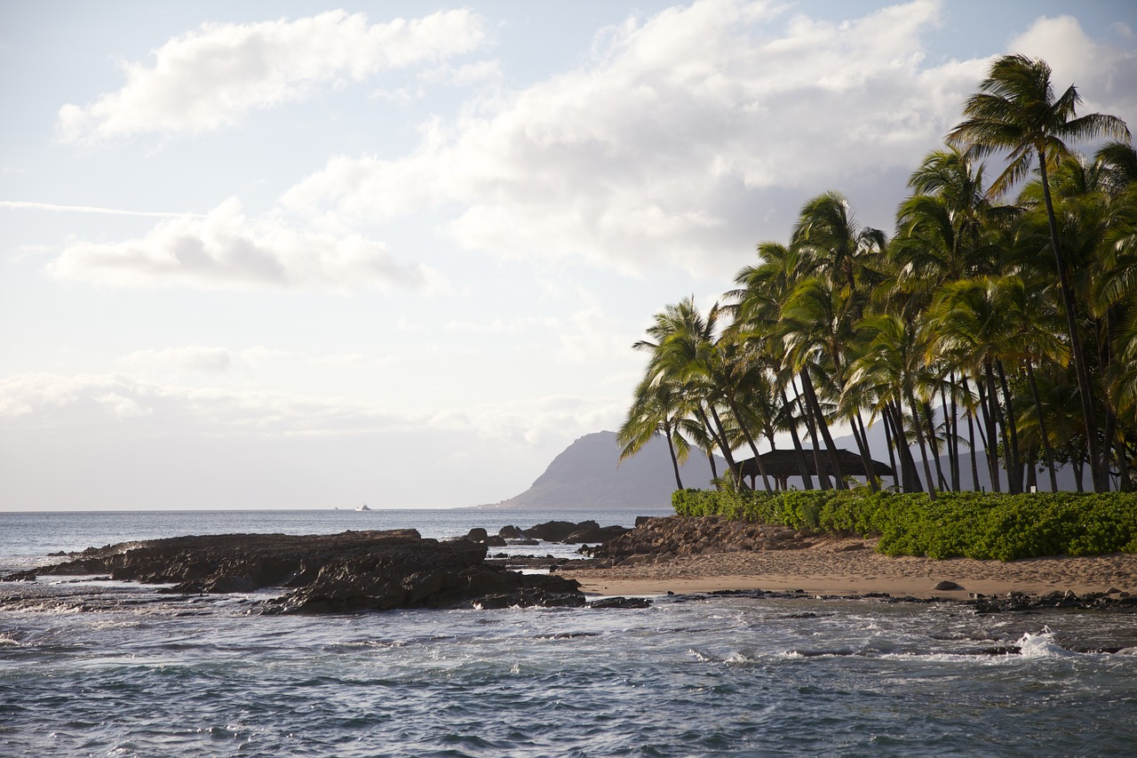 Hawaii, Vandenynas, Papludimys, Kelionė, Atostogos, Hawaii Beach, Havajų Kalba, Gyvenimo Būdas, Oahu, Vanduo