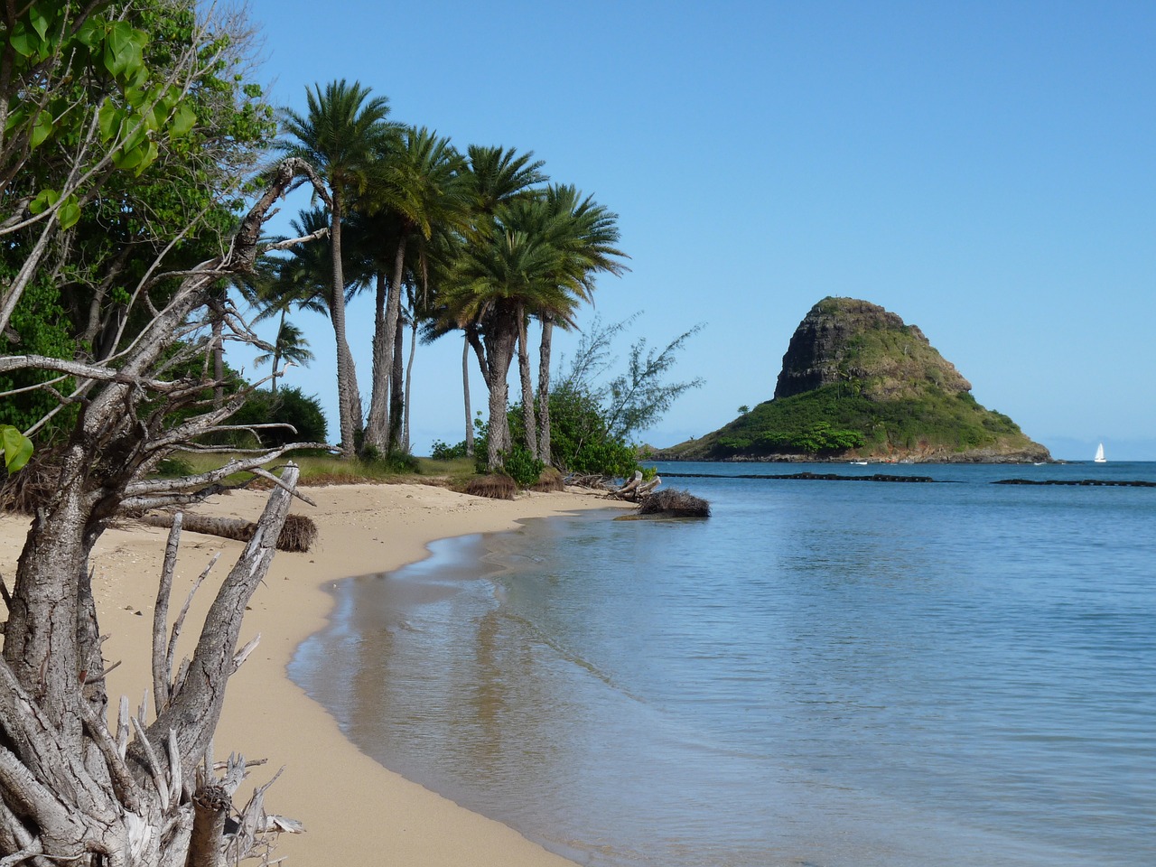 Hawaii, Papludimys, Kranto, Vasara, Vandenynas, Saulė, Šventė, Oahu, Činango Skrybėlė, Idiliškas