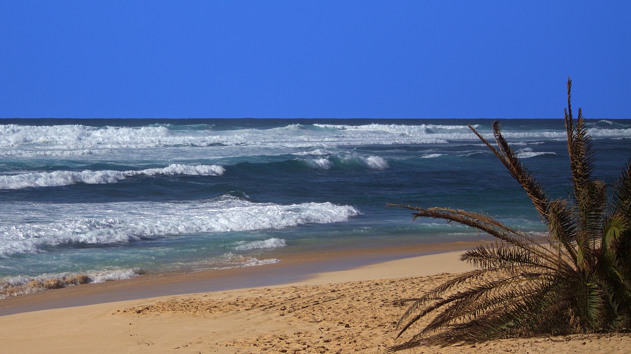 Hawaii, Papludimys, Vandenynas, Atostogos, Kelionė, Jūra, Atogrąžų, Vanduo, Hawaii Beach, Smėlis