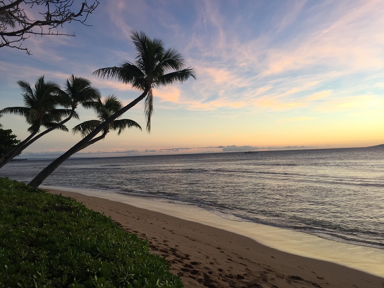 Hawaii, Molokai, Maui, Saulėlydis, Papludimys, Kokoso Medžiai, Nemokamos Nuotraukos,  Nemokama Licenzija