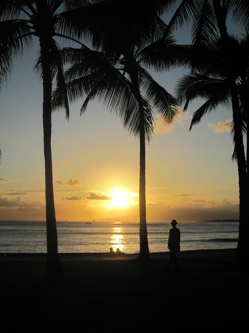 Hawaii, Papludimys, Jūra, Sonnenunergang, Palmės, Nemokamos Nuotraukos,  Nemokama Licenzija