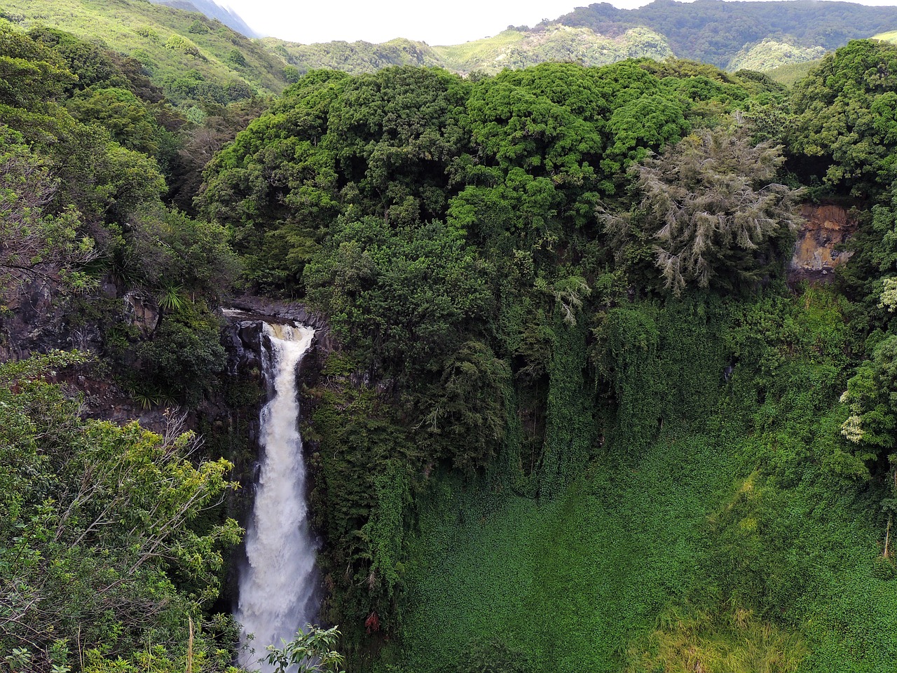 Hawaii, Krioklys, Atogrąžų, Žalias, Sala, Gamta, Atostogos, Lauke, Maui, Atogrąžų Miškai