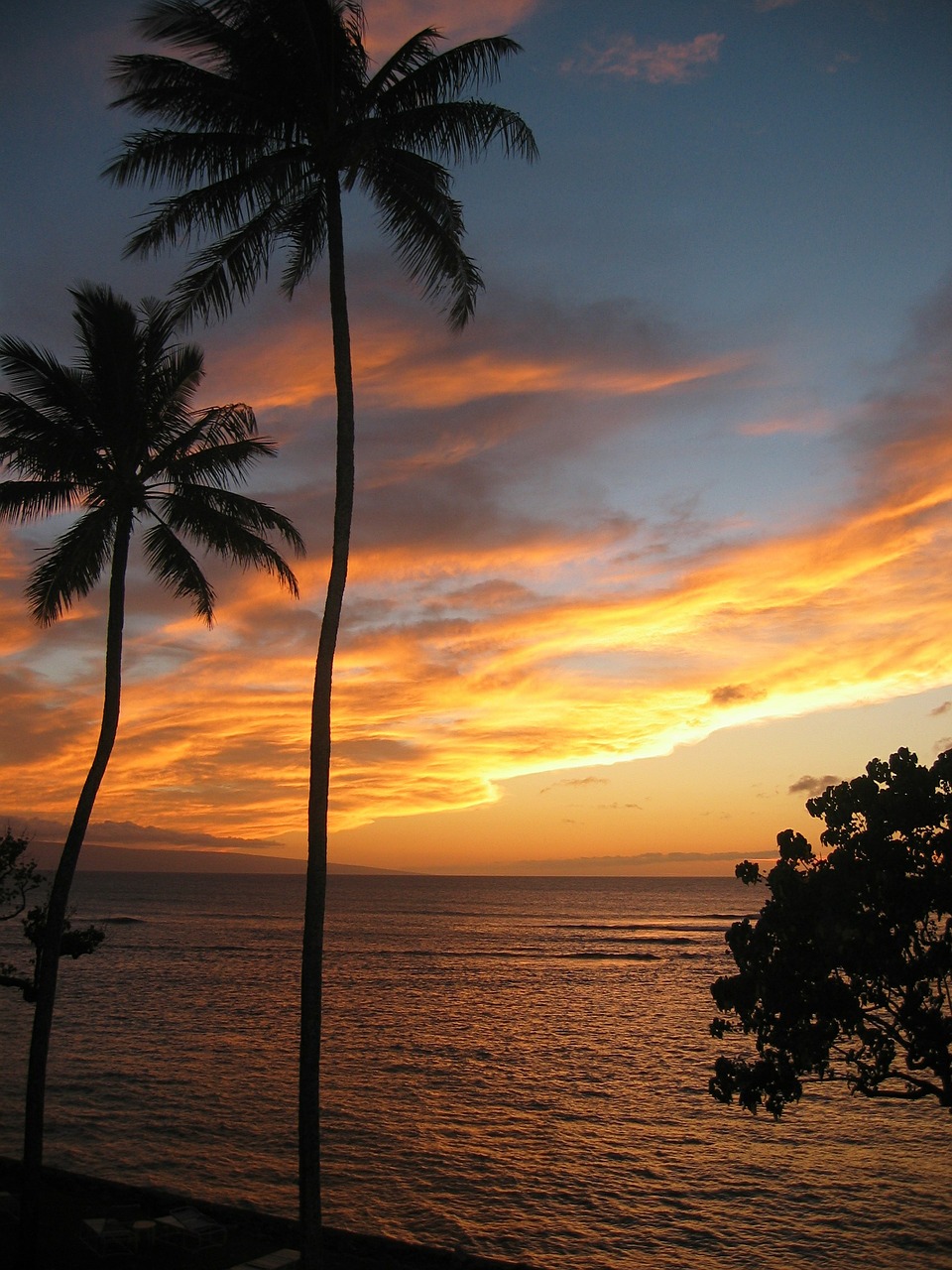 Hawaii, Saulėlydis, Atogrąžų, Palmės, Papludimys, Nemokamos Nuotraukos,  Nemokama Licenzija