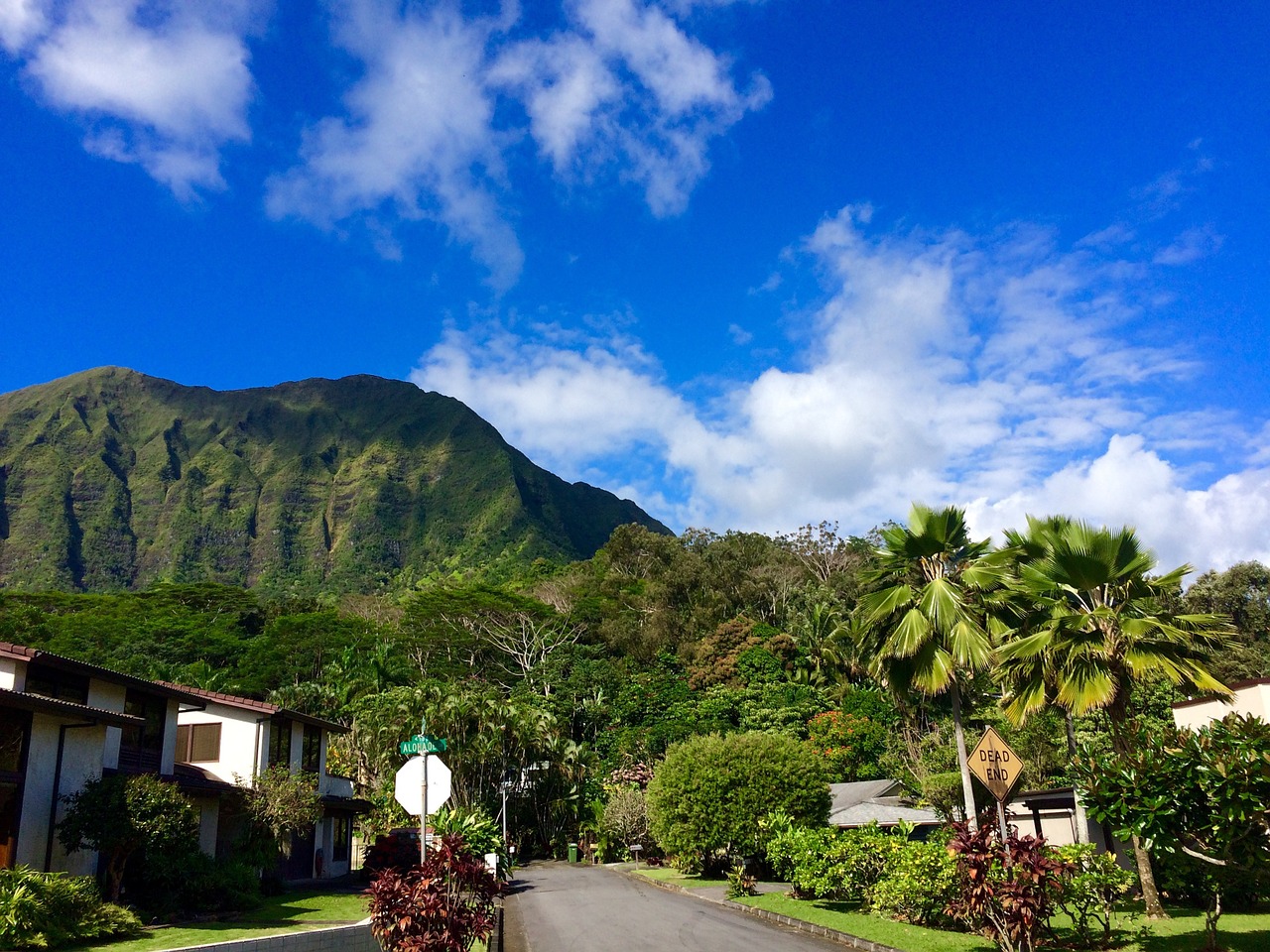 Hawaii,  Oahu,  Kalnas,  Dangus,  Rojus,  Vaizdingas,  Vėjas,  Mokykla,  Koolau, Nemokamos Nuotraukos