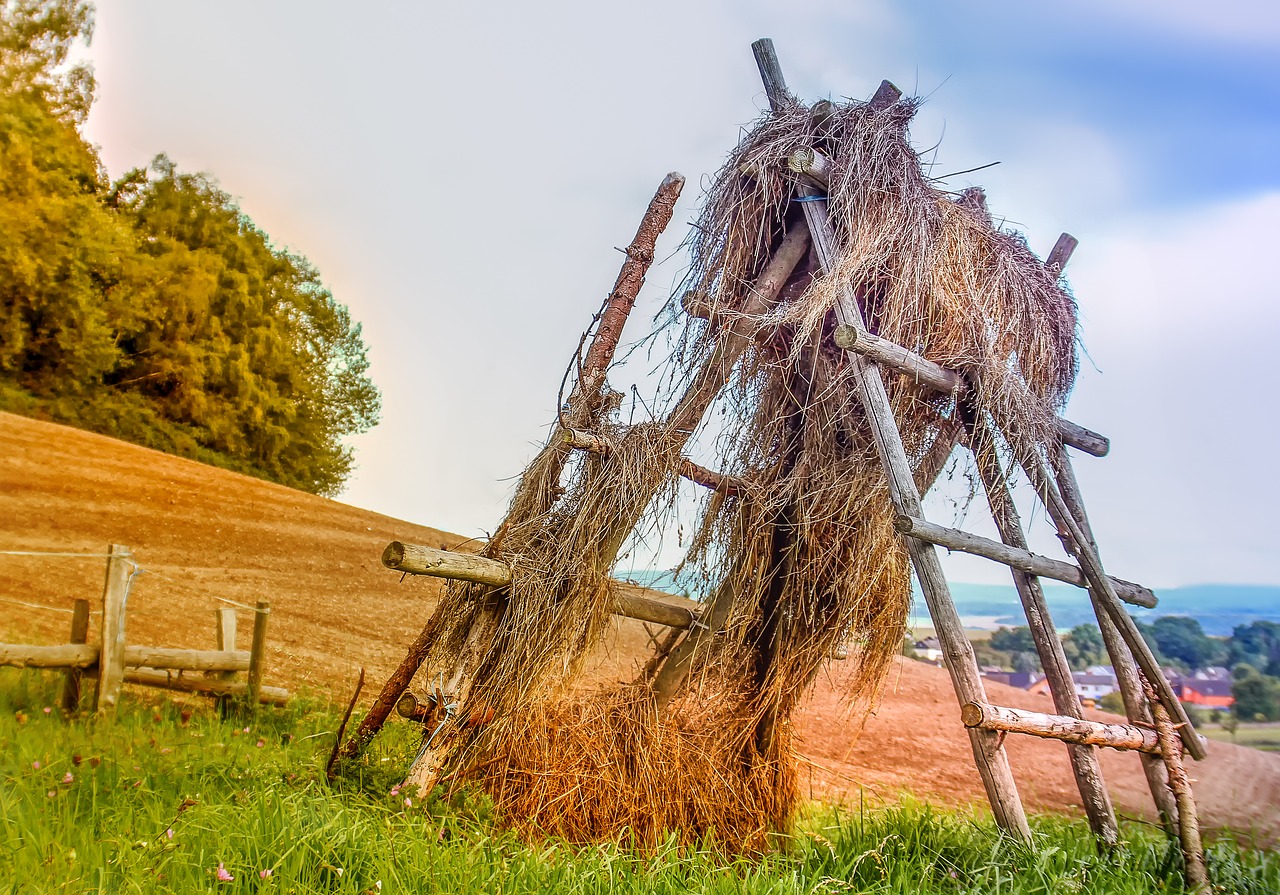 Hay,  Pobūdį,  Meadow,  Laukas,  Žolė,  Žemdirbystė,  Šienaujama,  Vasara,  Luftrocknung,  Maisto