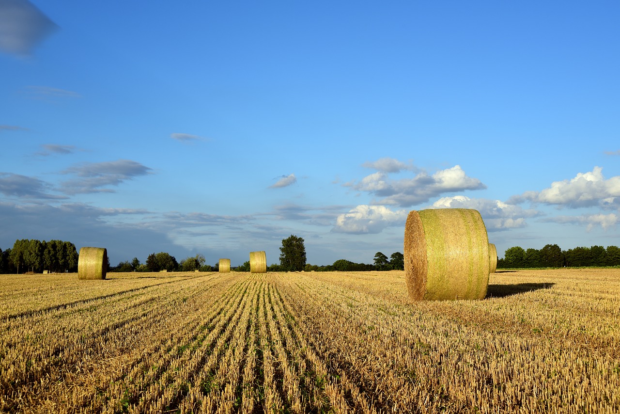 Hay,  Šieno Ryšulius,  Žemdirbystė,  Laukas,  Derlius,  Pobūdį,  Meadow,  Dangus,  Bale,  Šiaudų