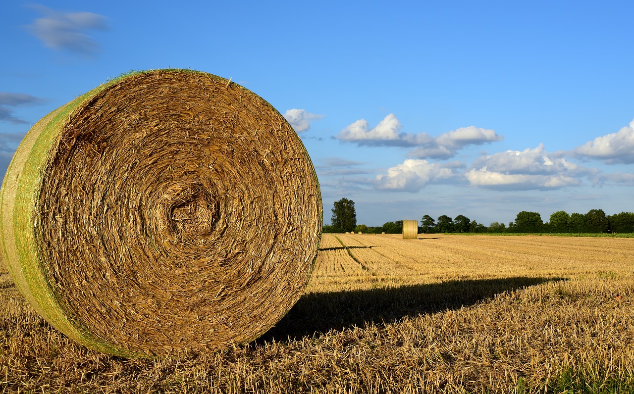 Hay,  Šieno Ryšulius,  Žemdirbystė,  Laukas,  Derlius,  Pobūdį,  Meadow,  Dangus,  Bale,  Šiaudų