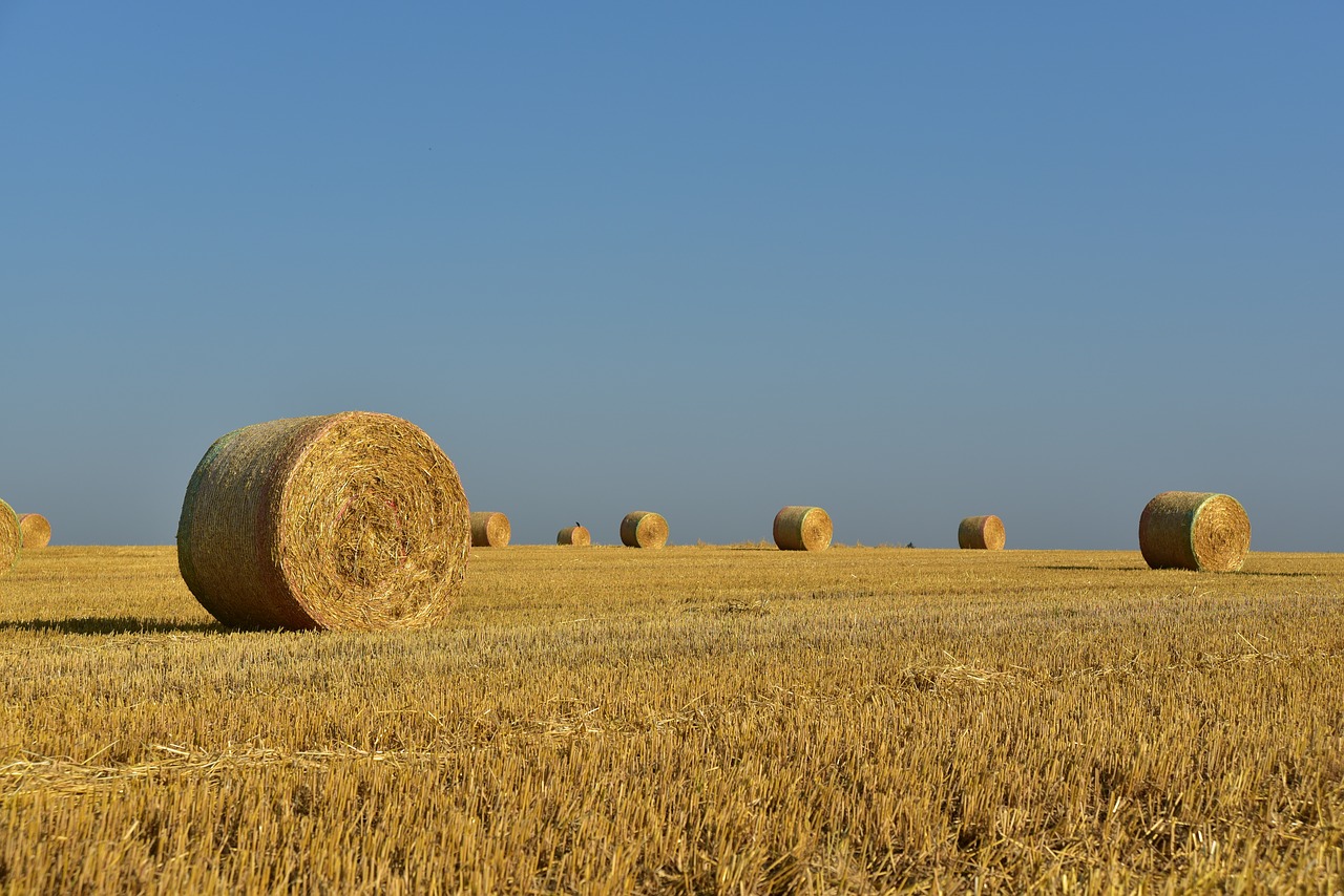 Hay,  Šiaudų Ryšulius,  Šieno Ryšulius,  Šiaudų,  Derlius,  Kaimo,  Žemdirbystė,  Pobūdį,  Laukas,  Žolė