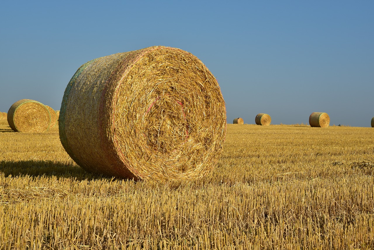 Hay,  Šiaudų,  Derlius,  Kaimo,  Žemdirbystė,  Pobūdį,  Laukas,  Dangus,  Žolė,  Bale