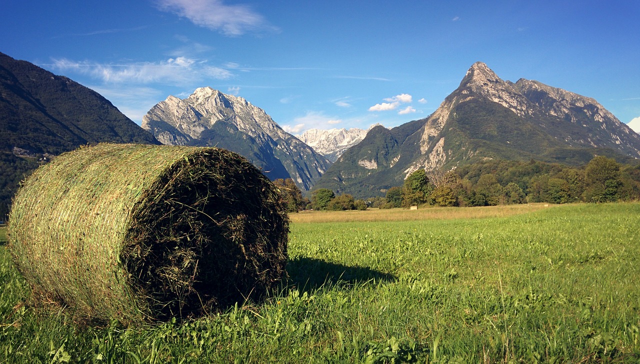 Šieno Ryšulių, Slovenia, Alpės, Bovec, Kalnas, Kraštovaizdis, Gamta, Europa, Žalias, Peizažas