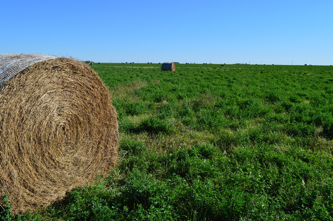 Šieno Ryšulių, Haystack, Gamta, Prairie, Derlius, Šiaudai, Kaimas, Ūkis, Laukas, Žemdirbystė