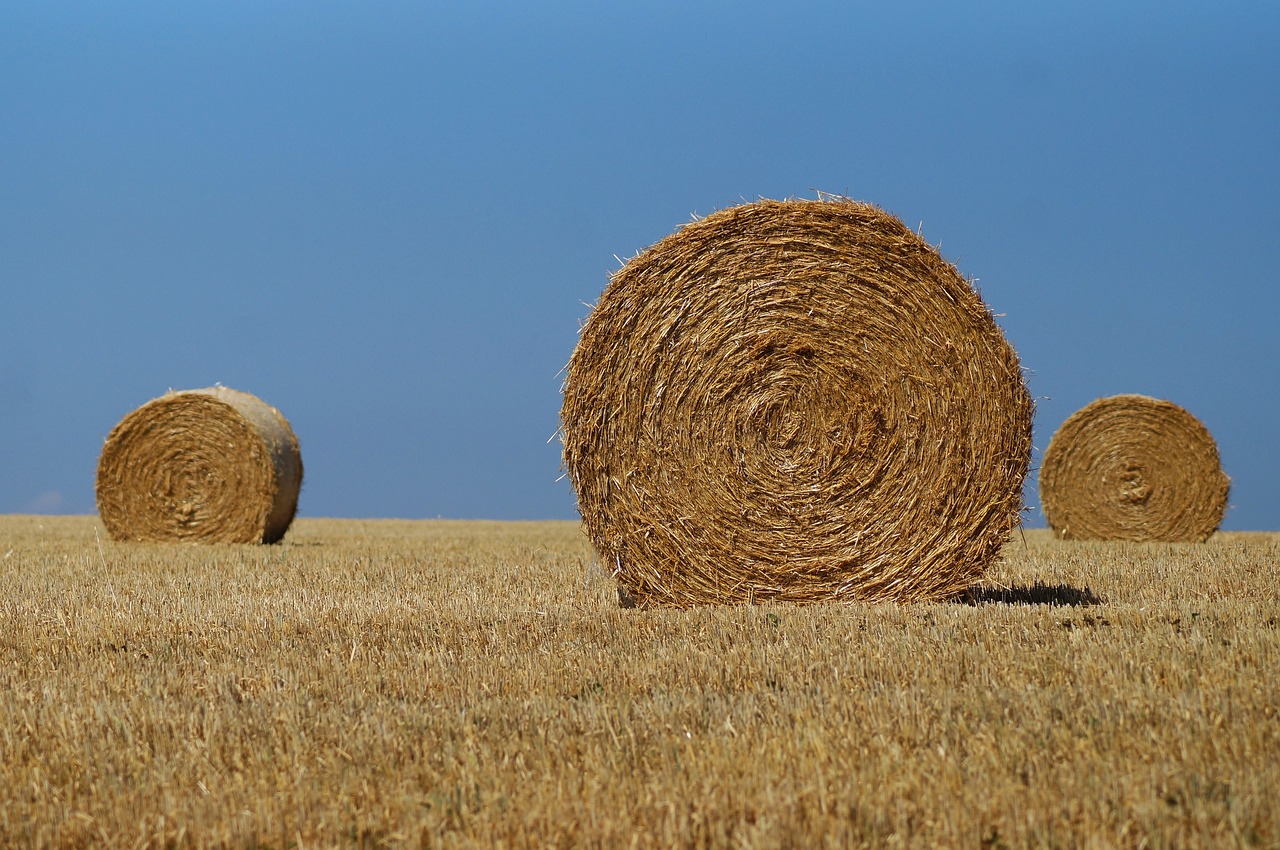 Šieno Ryšulius,  Šiaudų,  Žemdirbystė,  Derlius,  Hay,  Laukas,  Kaimo,  Vasara,  Kraštovaizdis,  Dangus