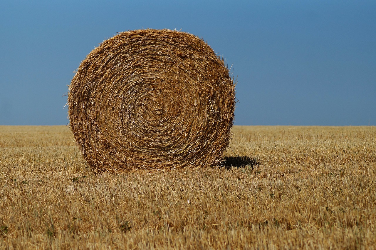 Šieno Ryšulius,  Šiaudų,  Žemdirbystė,  Derlius,  Hay,  Laukas,  Kaimo,  Vasara,  Kraštovaizdis,  Dangus