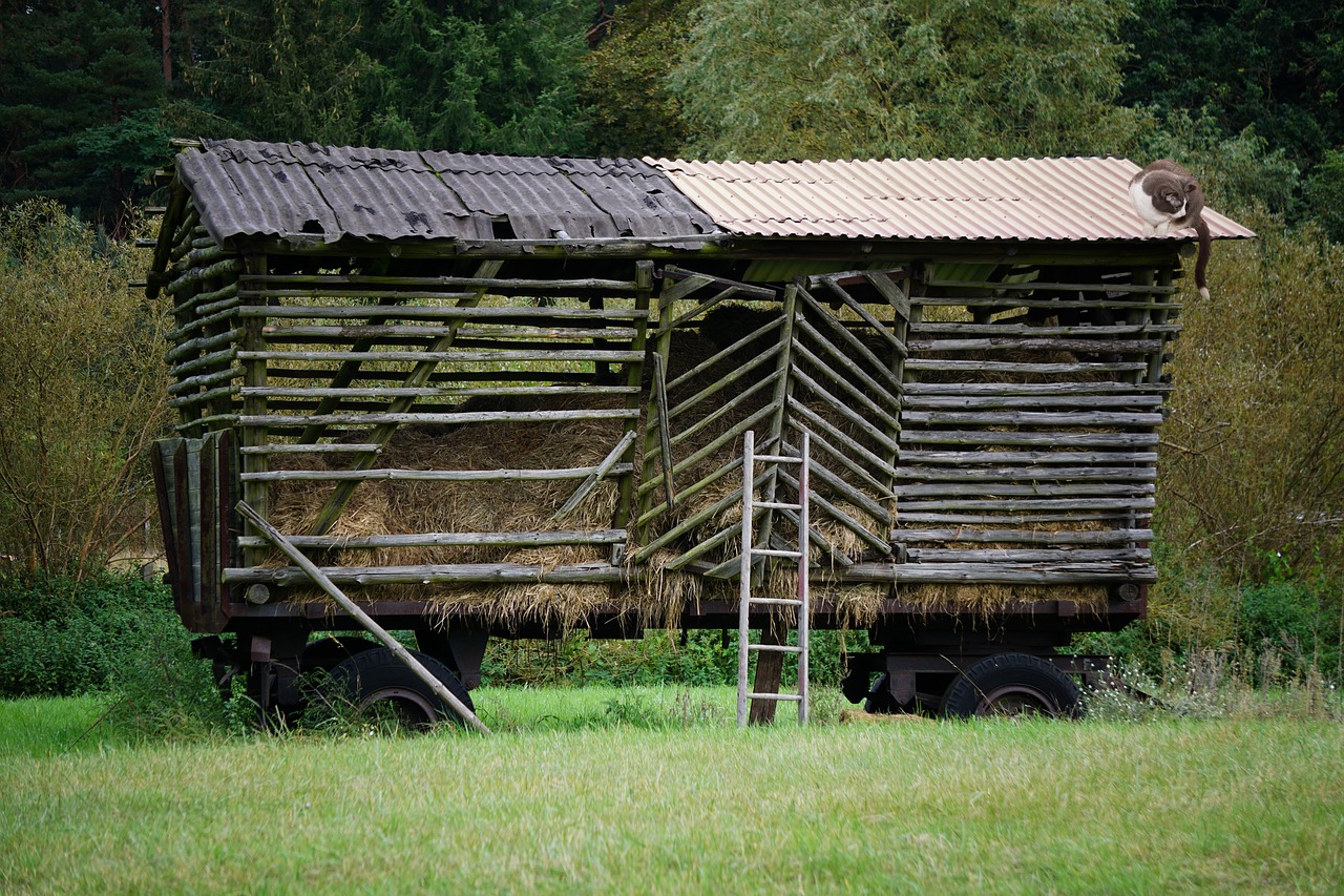 Šieno Vagonas,  Hay,  Dare,  Metai,  Derlius,  Žemdirbystė,  Šiaudų,  Kompanionai,  Rūdžių Spalvos,  Ūkis