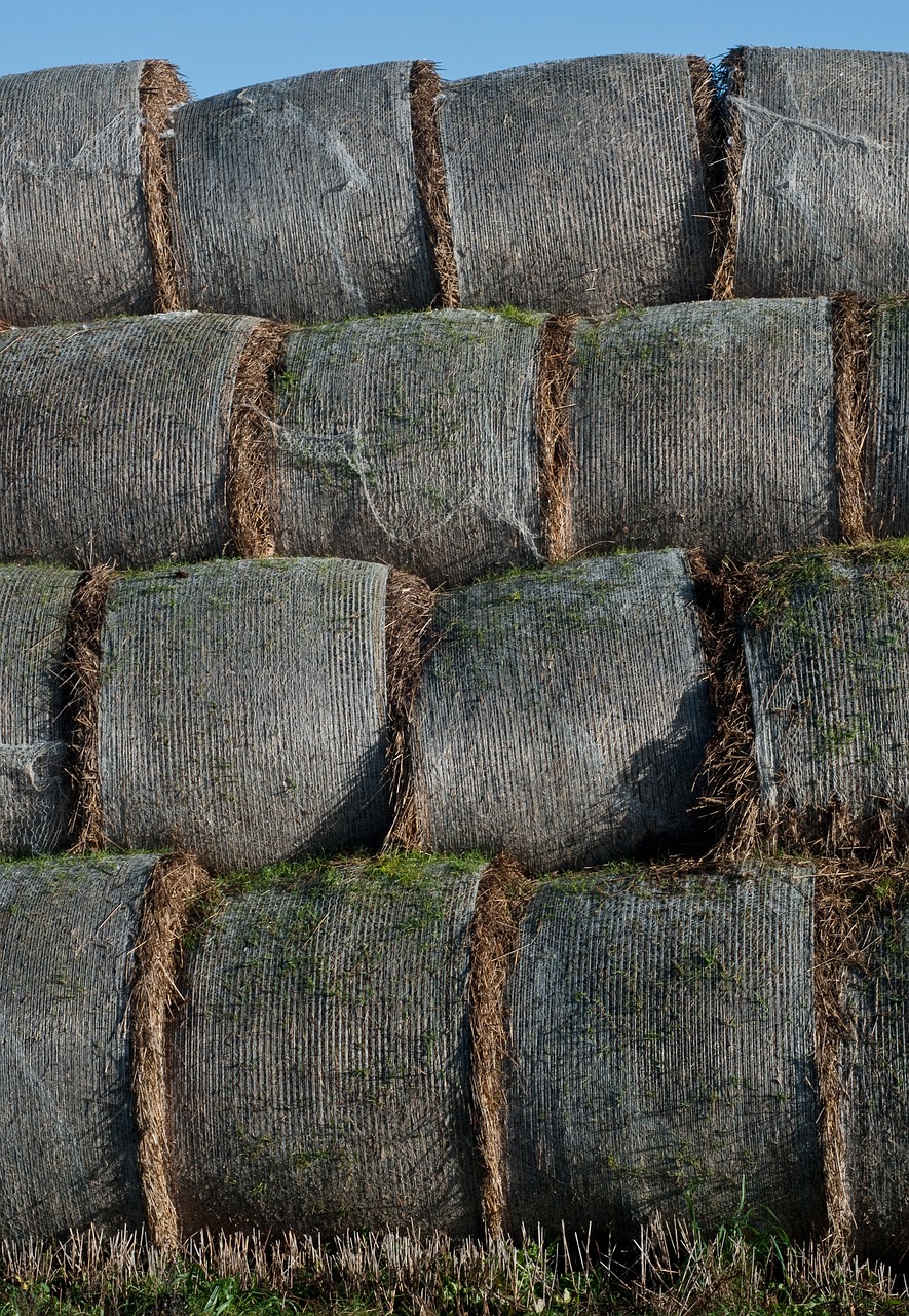 Haystack, Šiaudai, Žemdirbystė, Šienas, Derlius, Nemokamos Nuotraukos,  Nemokama Licenzija