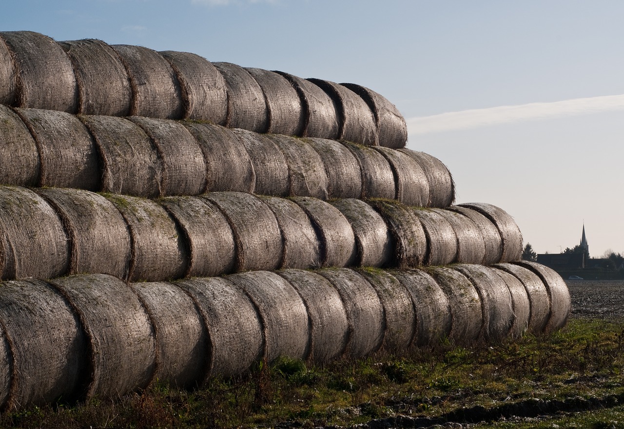 Haystack, Šiaudai, Žemdirbystė, Šienas, Derlius, Nemokamos Nuotraukos,  Nemokama Licenzija