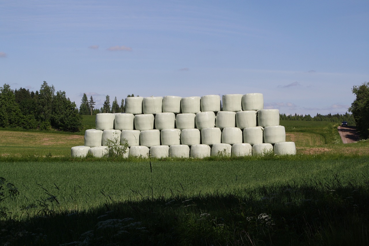 Haystack, Kaimas, Šienas, Kaimas, Laukas, Žemdirbystė, Derlius, Ūkininkavimas, Roll, Nemokamos Nuotraukos