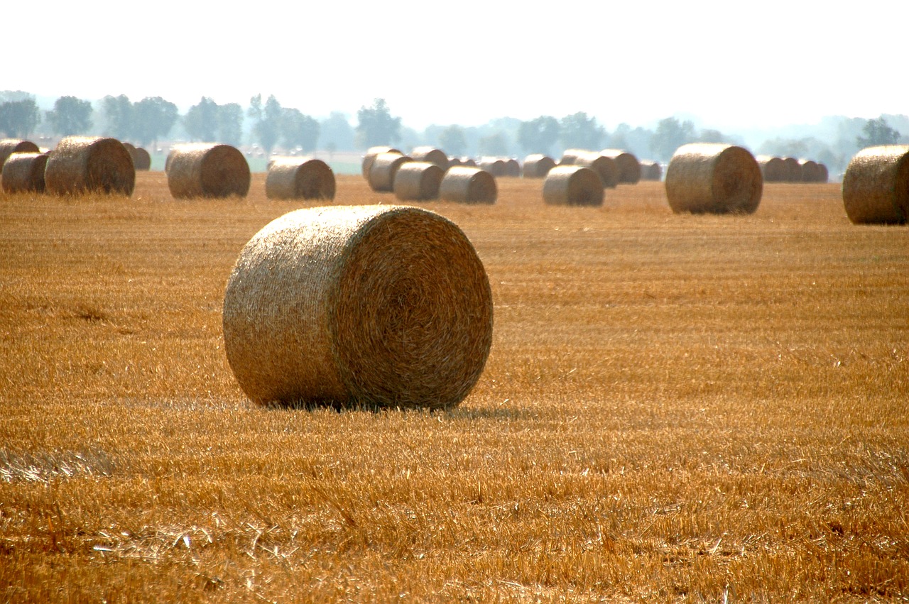 Haystack, Kaimas, Žemdirbystė, Pasėlių, Ūkis, Diena, Ūkininkavimas, Laukas, Nemokamos Nuotraukos,  Nemokama Licenzija