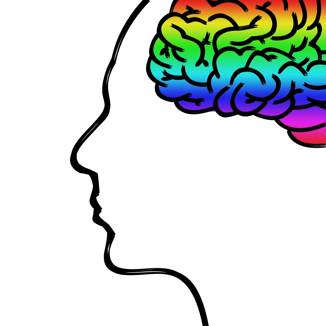 Galva, Smegenys, Mintis, Žmogaus Kūnas, Veidas, Psichologija, Koncentracija, Idėjos, Pilkoji Medžiaga, Traukiamas Veidas