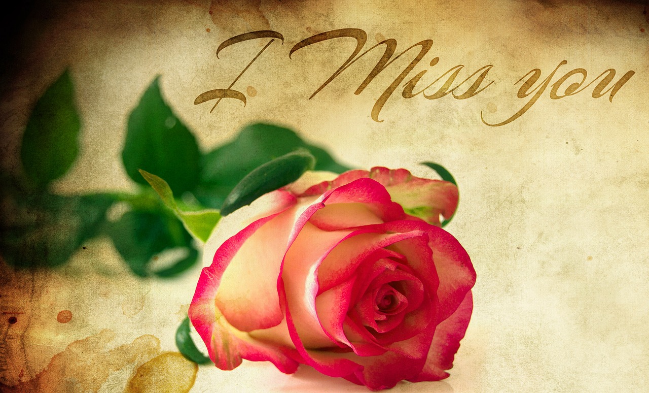 Širdis, Rožės, Praleisti, Žiedlapiai, Raudona, Gėlė, Romantika, Valentino Diena, Raudonos Rožės, Gėlės