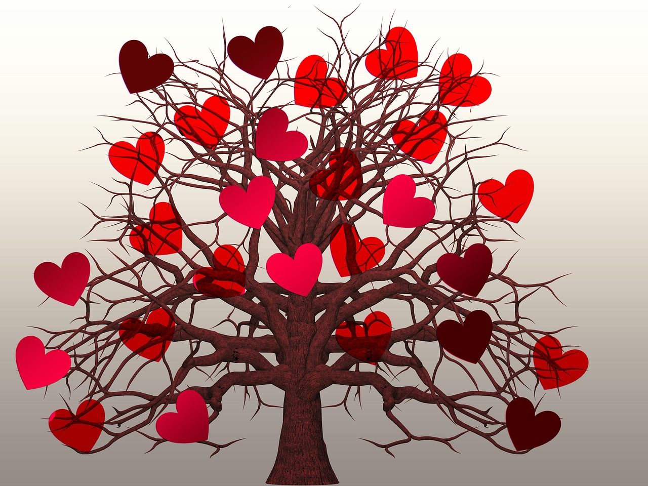Širdis, Medis, Meilė, Valentino Diena, Gamta, Romantika, Žievė, Meilė, Jausmai, Raudona