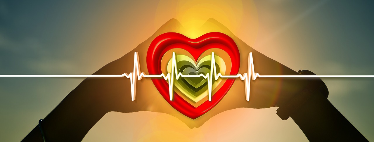 Širdis, Į Sveikatą, Impulsas, Širdies Ritmas, Apsauga, Priežiūra, Tyrimas, Medicinos, Gydytojas, Nemokamos Nuotraukos