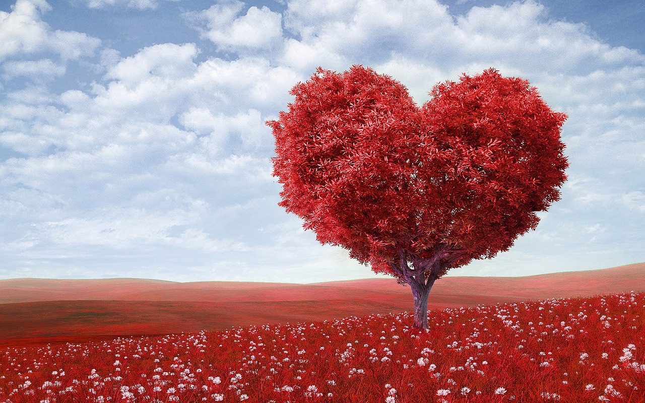 Širdies Formos, Medis, Raudona, Lauke, Gėlės, Valentino Diena, Romantiškas, Dangus, Debesys, Romantika
