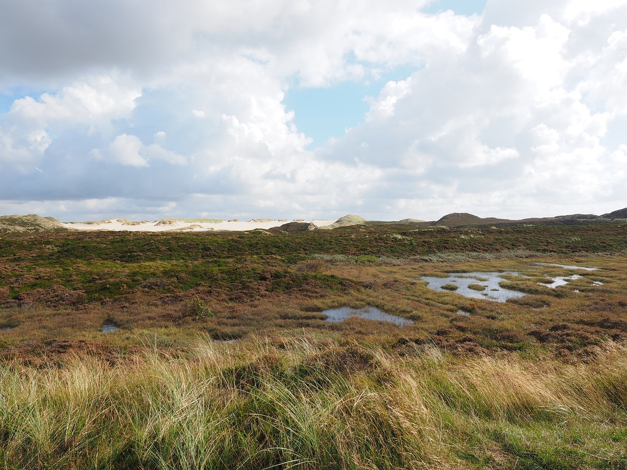 Heathland, Kopos, Durpių Pelkės, Virėja, Sveikata, Sveikatingumo Ekosistemos, Kopų Kraštovaizdis, Sylt, Marram Žolė, Ežerai