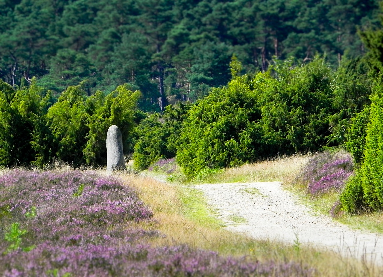 Heide, Žygis, Vaikščioti, Žygiai, Toli, Kraštovaizdis, Poilsis, Atsipalaidavimas, Dėmesio, Taikinys