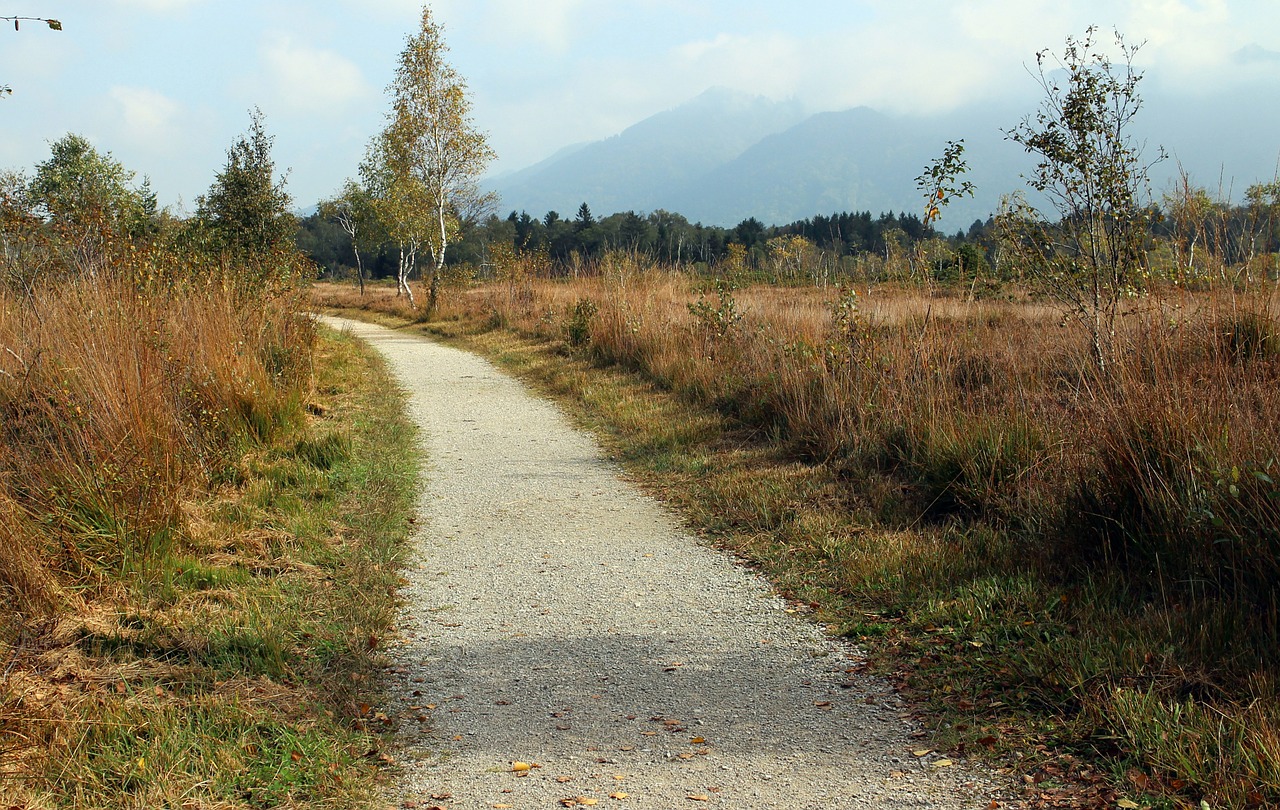 Heide, Ruduo, Toli, Promenada, Kelias, Gamta, Takas, Kraštovaizdis, Kalnai, Nemokamos Nuotraukos