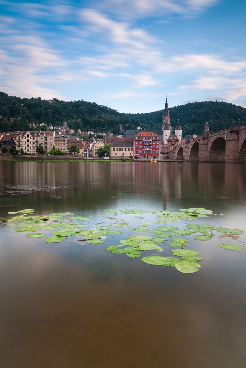 Heidelbergas, Tiltas, Senamiestis, Neckar, Nemokamos Nuotraukos,  Nemokama Licenzija