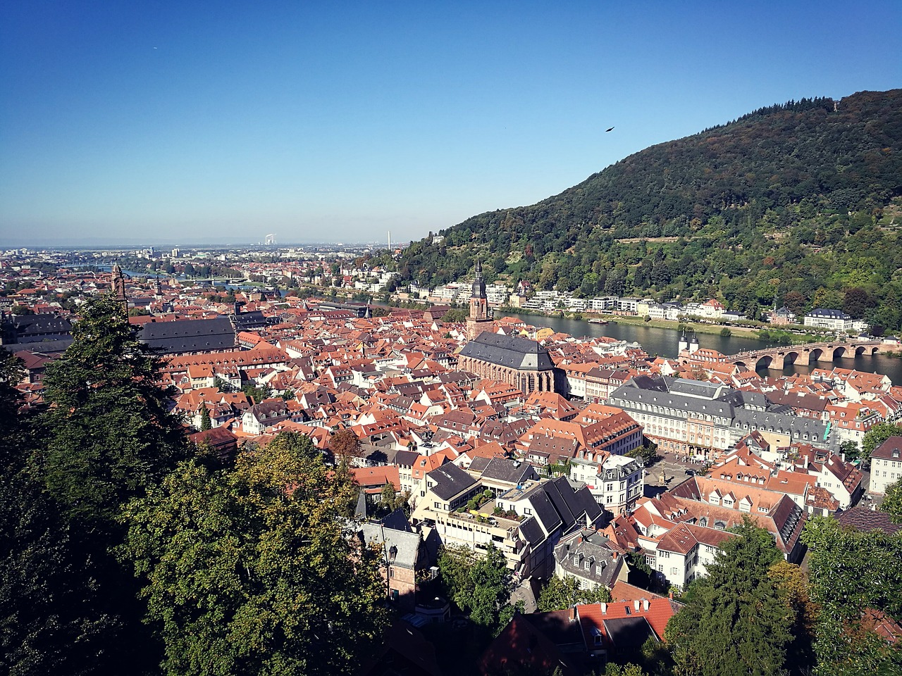 Heidelbergas, Neckar, Miestas, Vokietija, Senas, Kultūra, Saulė, Dangus, Namai, Statyba