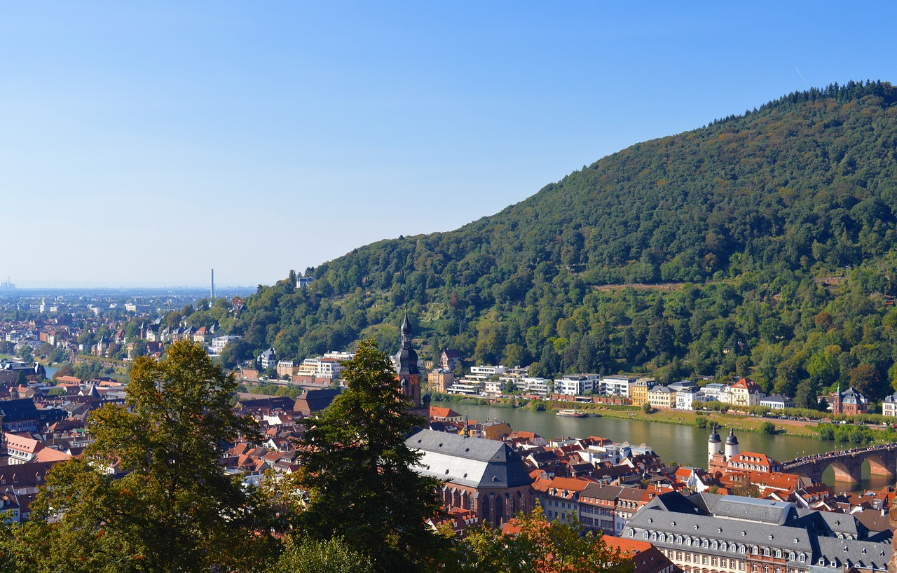 Heidelbergas, Miestas, Istoriškai, Istorinis Miestas, Neckar, Panorama, Viduramžių Miestas, Stogai, Bažnyčia, Heiliggeistkirche