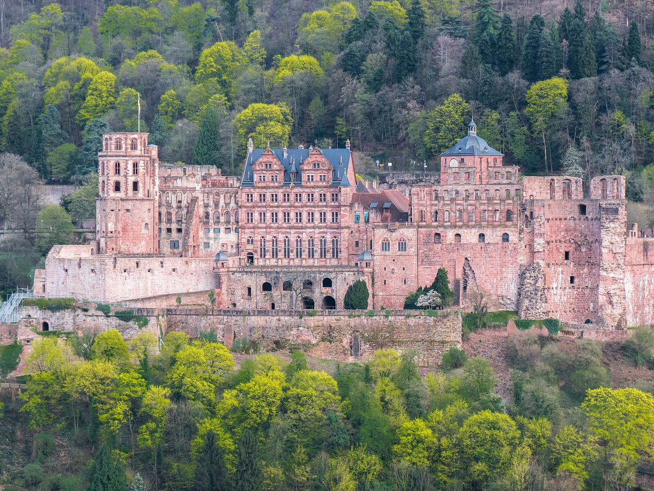 Heidelberg,  Heidelberger Uždarytos,  Tvirtovė,  Senas, Nemokamos Nuotraukos,  Nemokama Licenzija