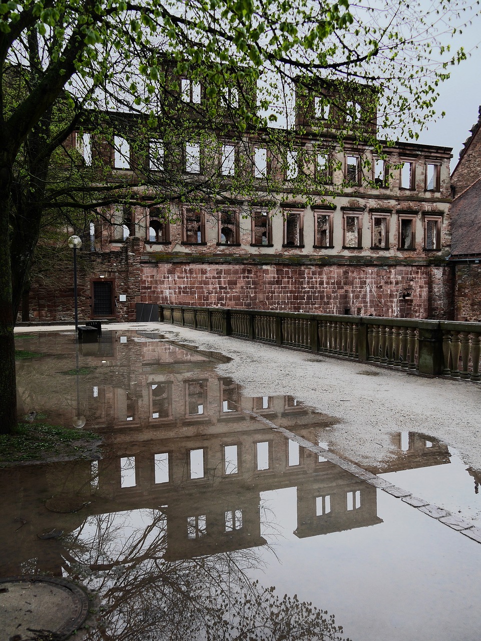 Heidelberg,  Pilis,  Neckar,  Plaukti,  Viurtembergas,  Sugadinti,  Veidrodinis,  Vandens,  Fasadas,  Pilis Heidelberg