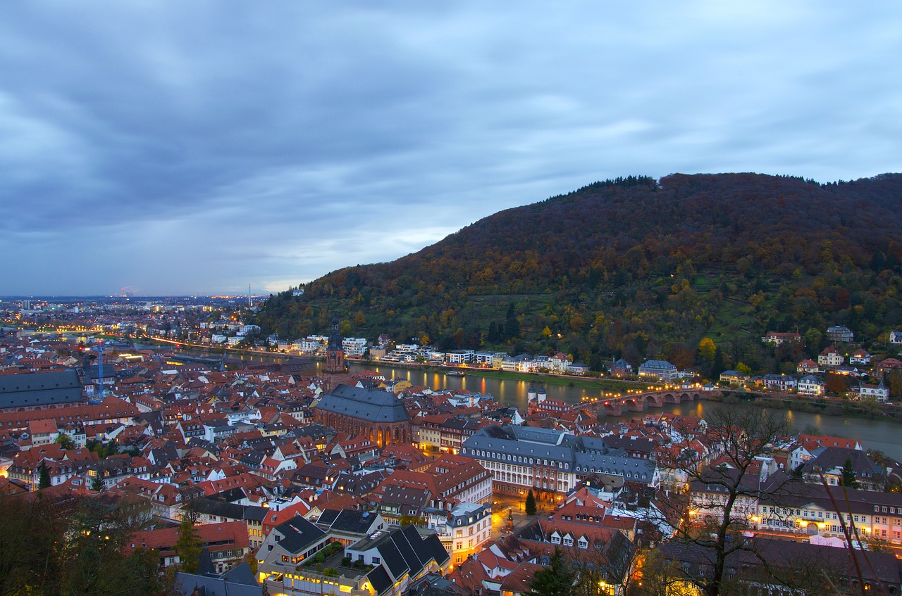 Heidelberger Schloss, Heidelbergas, Miestas, Pilis, Baden Württemberg, Panorama, Miesto Panorama, Miesto Vaizdas, Vokietija, Stogai