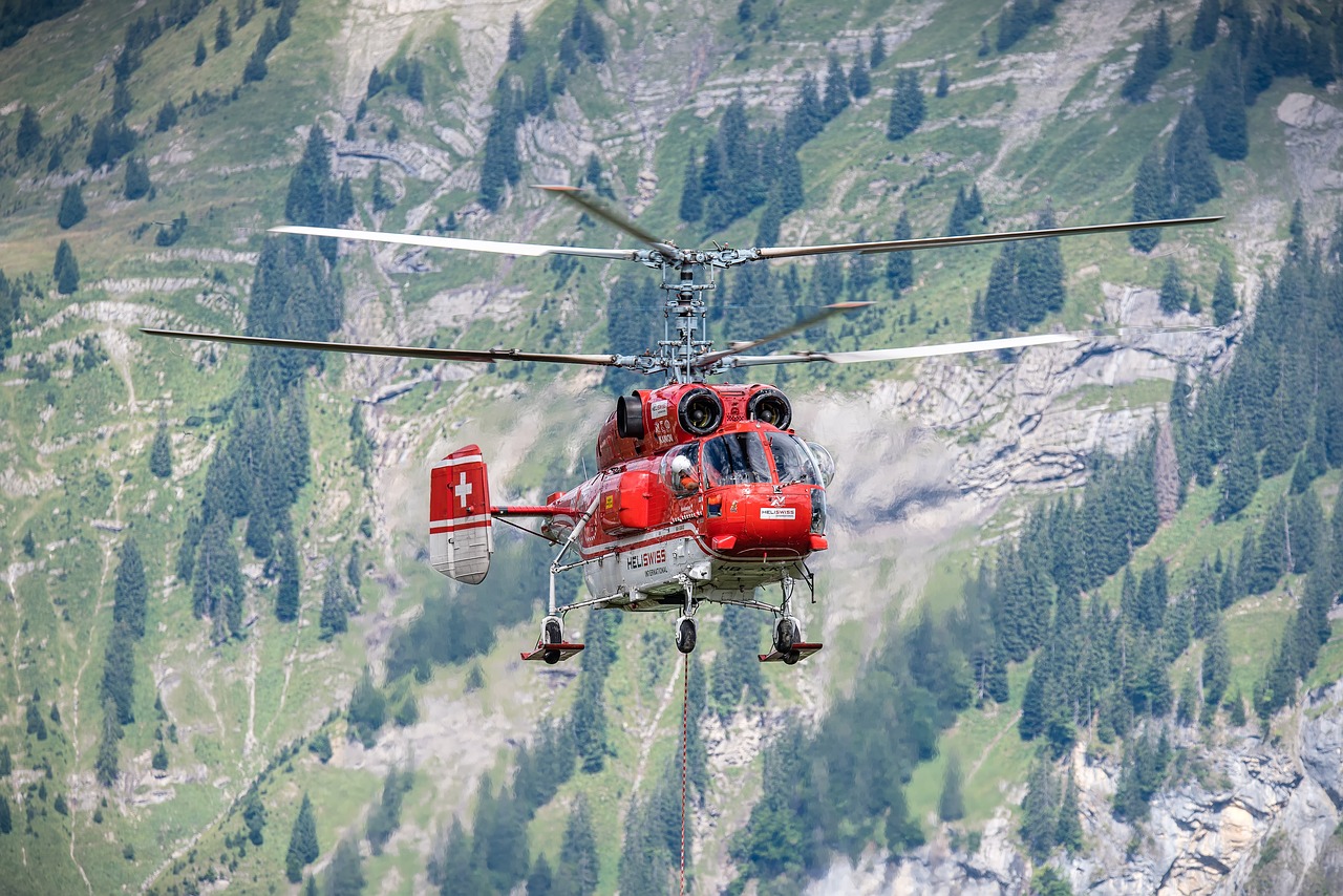 Sraigtasparnis, Medienos Ruoša, Darbas, Alpių, Kamov, Nemokamos Nuotraukos,  Nemokama Licenzija